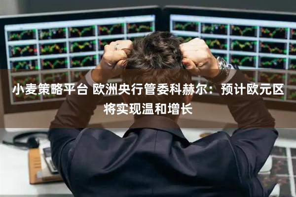 小麦策略平台 欧洲央行管委科赫尔：预计欧元区将实现温和增长