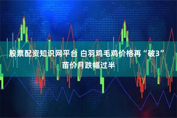 股票配资知识网平台 白羽鸡毛鸡价格再“破3” 苗价月跌幅过半
